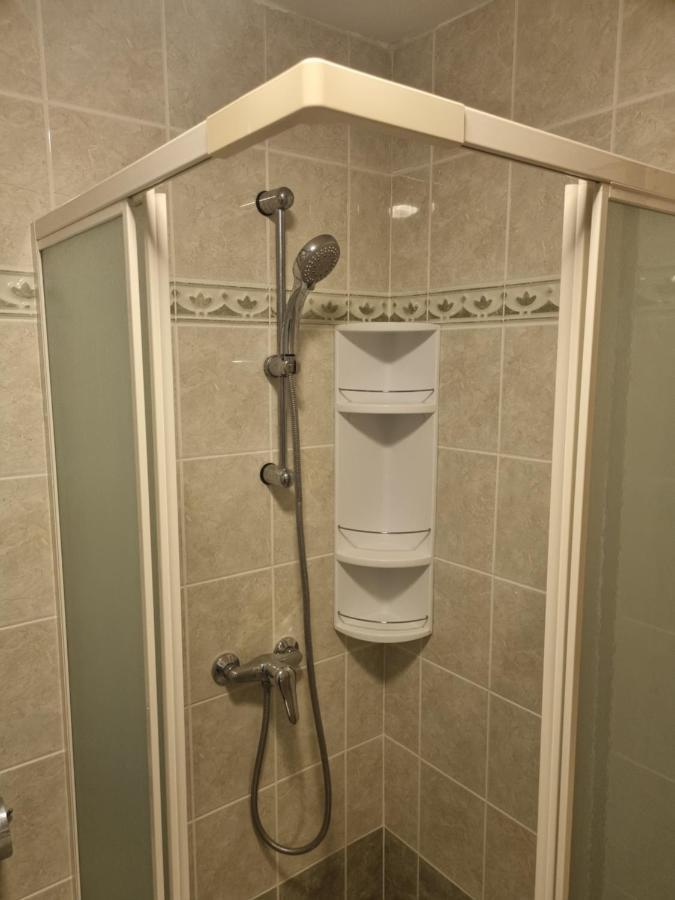 Greenview Apartment With Parking ロヴィニ エクステリア 写真